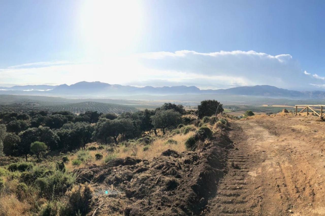 La Victoria 1 El Paseo Διαμέρισμα Archidona Εξωτερικό φωτογραφία